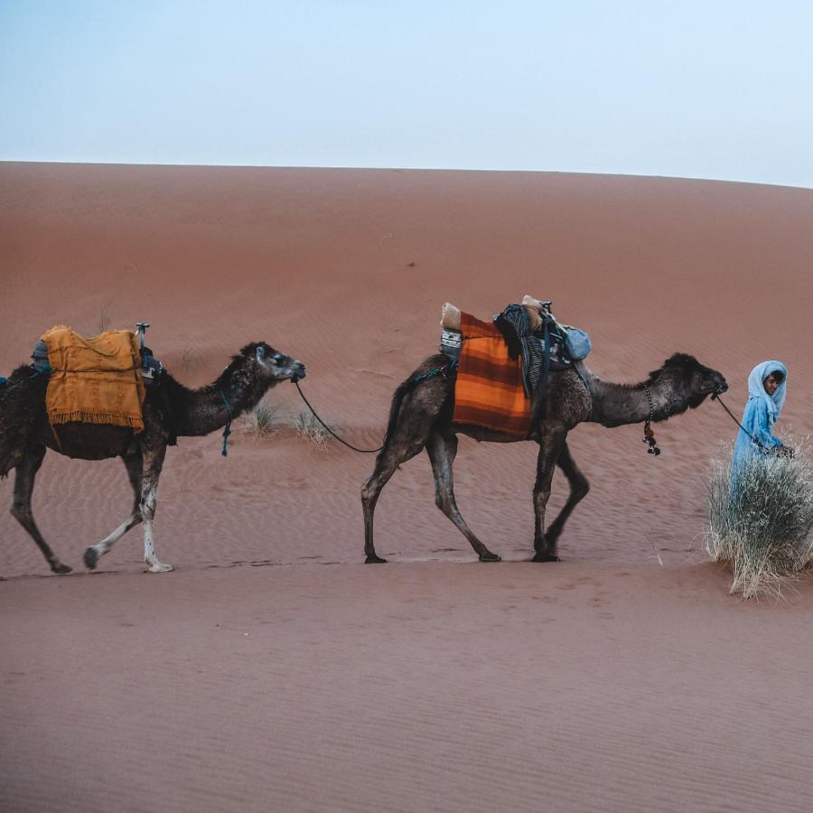 Bed and Breakfast Camel Luxury Camp Мерзуга Экстерьер фото